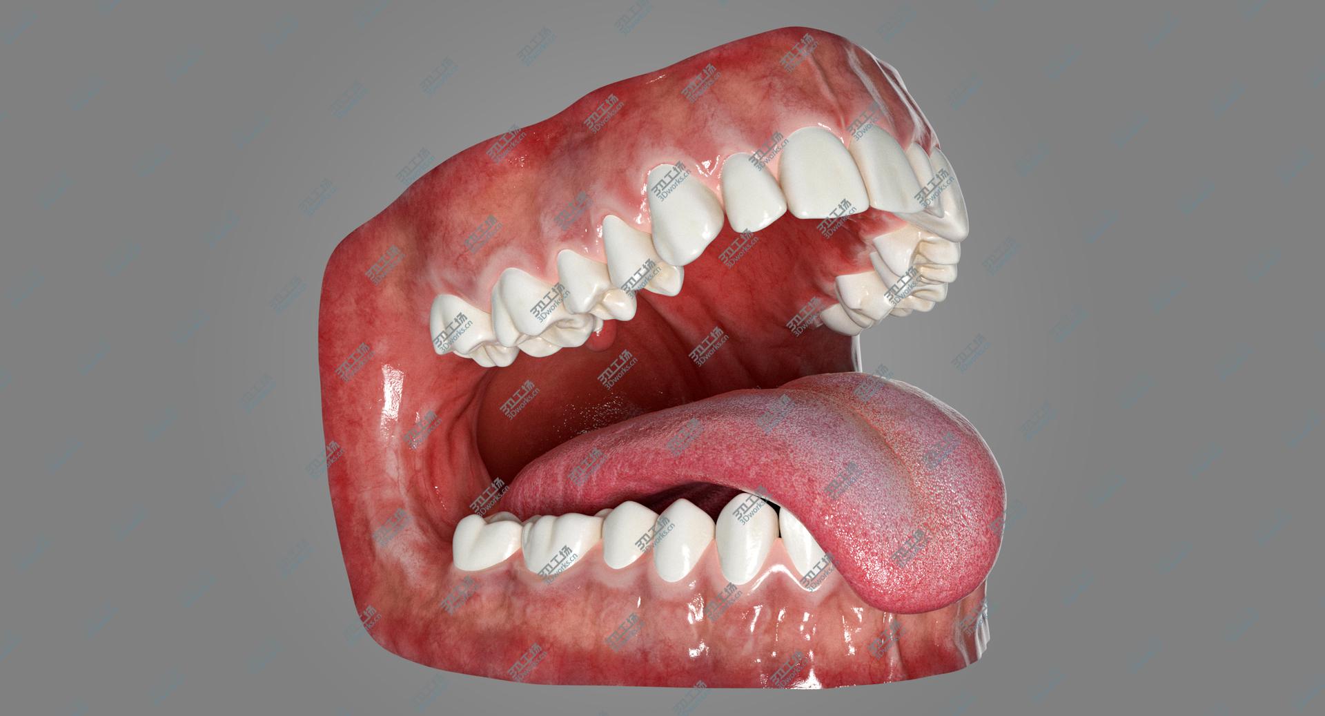 images/goods_img/202105073/Human Mouth With Tongue Rigged 3D model/1.jpg